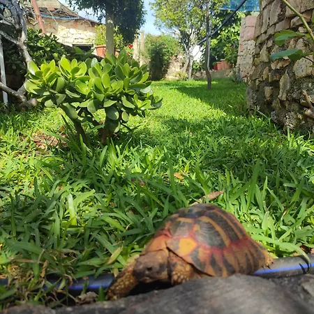 Redstone Apartamento *