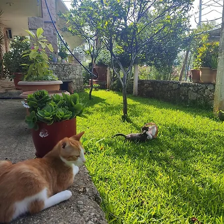 Redstone Apartamento