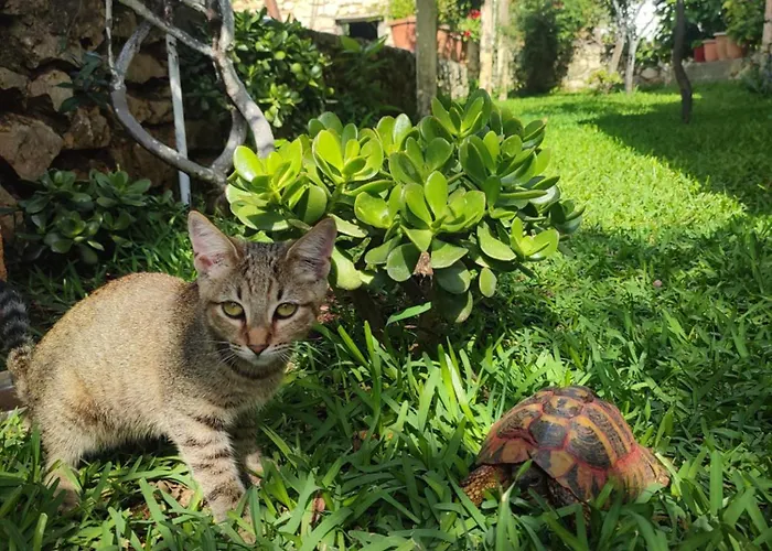 Apartamento Redstone