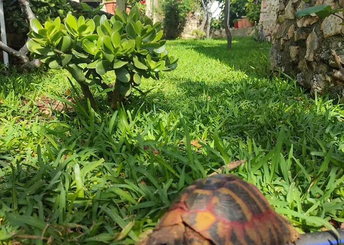 Redstone Apartamento *