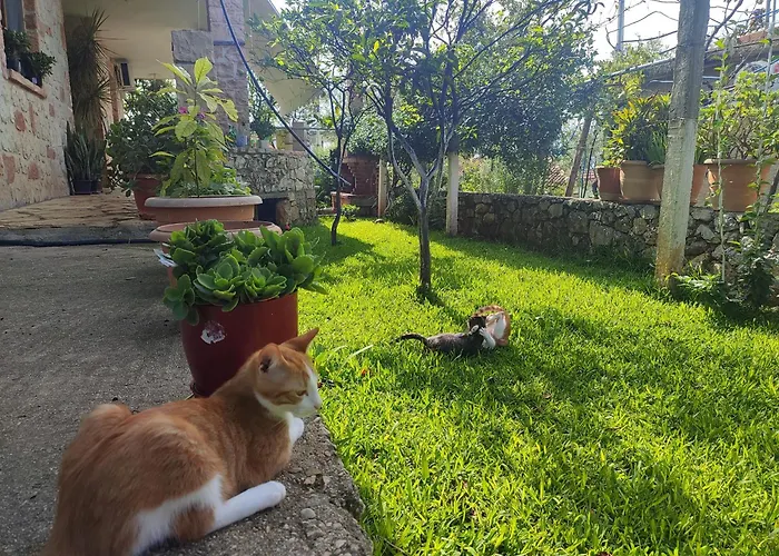 Redstone Apartamento