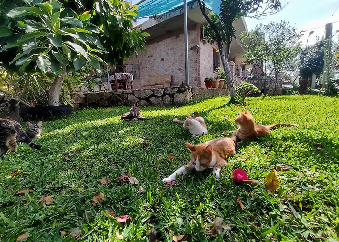 Appartamento Redstone